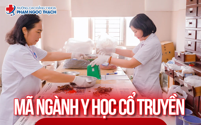 Ngành Y học Cổ truyền đào tạo tại Cao đẳng Phạm Ngọc Thạch