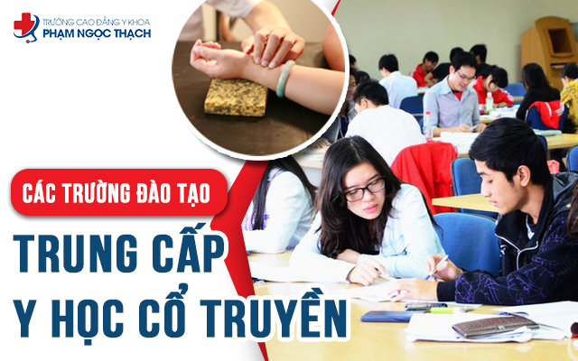 Trường Phạm Ngọc Thạch địa chỉ đào tạo Y học Cổ Truyền uy tín