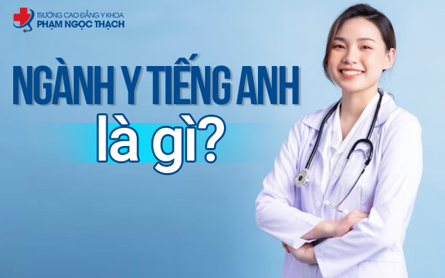 Y khoa tiếng Anh là gì? - Khám phá từ vựng và thuật ngữ chuyên ngành y khoa