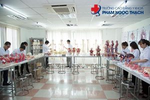 Trường Cao đẳng Y Khoa Phạm Ngọc Thạch là đơn vị đào tạo Cao đẳng Y sĩ Đa Khoa chất lượng