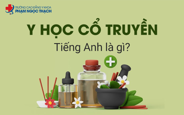 Y học Cổ truyền tiếng anh khá quan trọng trong ngành học