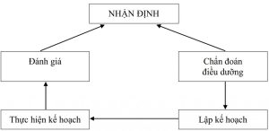 Chi tiết về các bước trong quy trình Điều dưỡng