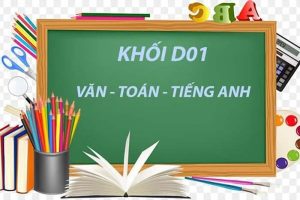 Ngành Y thi khối D01 được không?