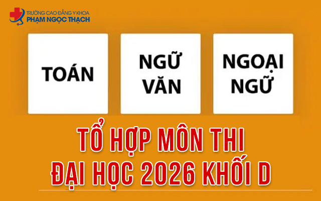 Tổ hợp thi đại học 2026 khối D