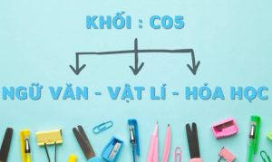 Khối C05 gồm những môn nào?