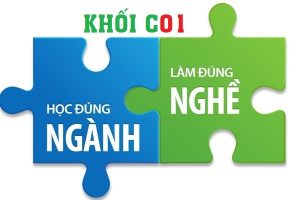 Các ngành học khối C01