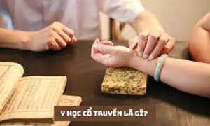 Y học cổ truyền là gì?