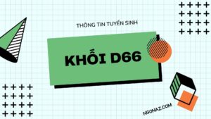 Học khối D66 ra trường làm gì? Mức lương bao nhiêu?