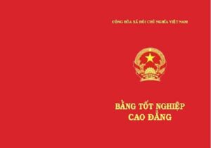 Hình ảnh bằng Cao đẳng Dược mới nhất