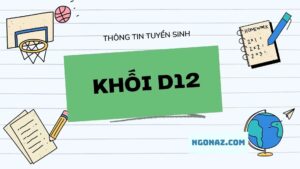 Tìm hiểu về khối D12