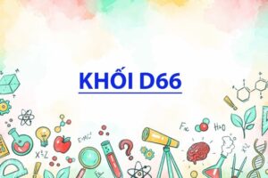 Các ngành học thuộc khối D66