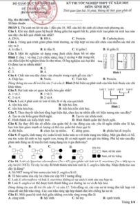 Đề thi THPT môn sinh minh họa năm 2025