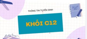 Tìm hiểu về khối C12