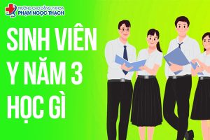 Tìm hiểu chương trình học Y năm 3
