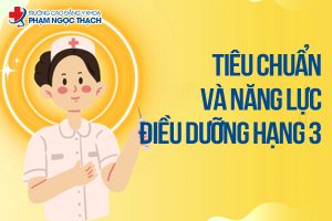 Tiêu chuẩn nhiệm vụ và năng lực chuyên môn Điều dưỡng hạng 3