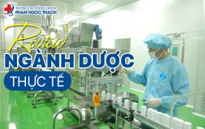 Review ngành dược thực tế từ sinh viên 