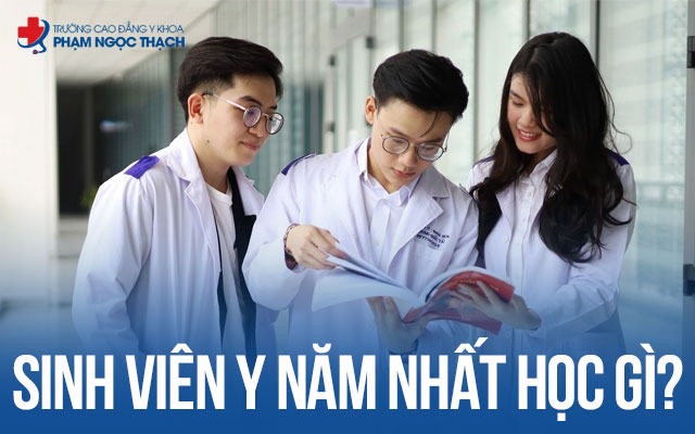 Sinh viên Y năm nhất học gì? Chương trình học nặng không?