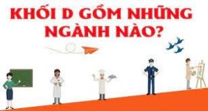 Khối D có những ngành nào? Học lực khá nên chọn ngành nào khối D