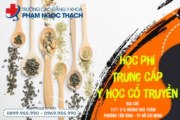 Học phí Y học cổ truyền Phạm Ngọc Thạch thế nào?