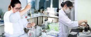 Công việc của nhân viên QC ngành Dược Công việc của nhân viên QC ngành Dược