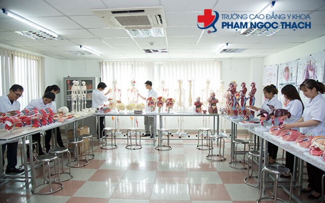 Trường Cao đẳng Y Khoa Phạm Ngọc Thạch là ngôi trường đào tạo hệ Trung cấp chất lượng