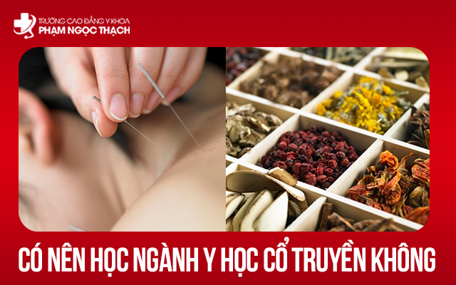 Có nên học ngành Y Học Cổ Truyền không?