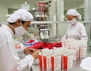 Dược sĩ có vai trò quan trọng trong hệ thống Y tế Việt Nam