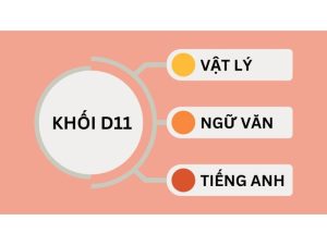Khối D11 là gì? Gồm những môn nào?