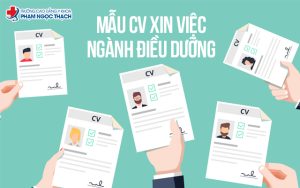 Cấu trúc một mẫu CV xin việc ngành điều dưỡng Cấu trúc một mẫu CV xin việc ngành điều dưỡng