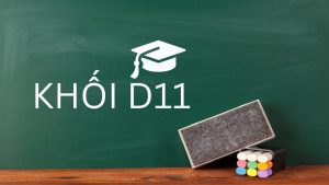 Khối D11 gồm những ngành gì? Ngành nào dễ xin việc?