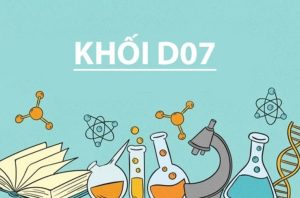 Tìm hiểu về khối D07
