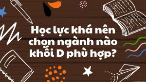 Học lực khá nên chọn ngành nào khối D
