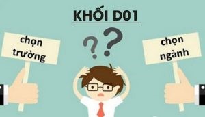 Các tiêu chí chọn trường phù hợp với 23 điểm khối D01