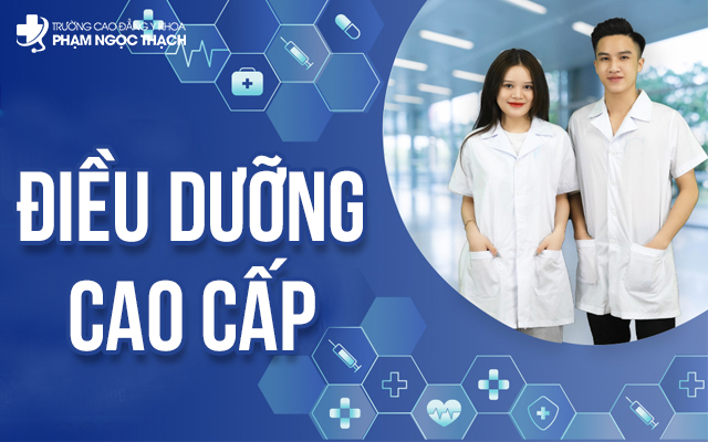 Điều dưỡng cao cấp đào tạo các Điều dưỡng viên về chuyên môn nghiệp vụ Điều dưỡng cao cấp đào tạo các Điều dưỡng viên về chuyên môn nghiệp vụ