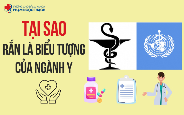 Con rắn quấn quanh cây gậy thần trong biểu tượng ngành Y Con rắn quấn quanh cây gậy thần trong biểu tượng ngành Y