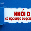 Khối D có học được Dược không? Đăng ký Ngành Dược ở đâu?