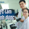 Việc làm ngành Dược tại TPHCM và Hà Nội trong tương lai
