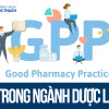 Gpp trong ngành Dược là gì? Nguyên tắc tiêu chuẩn GPP Dược