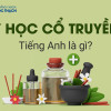 Y học Cổ truyền tiếng anh là gì? Nghĩa Y học Cổ truyền tiếng Anh