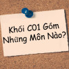 Khối C01 gồm những ngành nào trường nào HOT hiện nay?