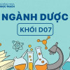 Ngành Dược khối D07 học được không? Học ở đâu chất lượng?